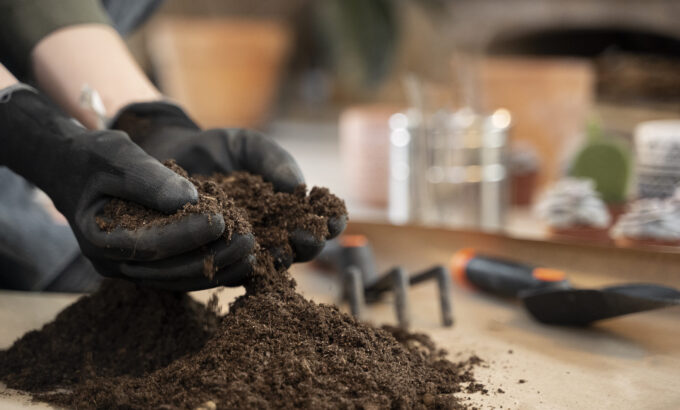 Análise de Solo: Fundamentos, Métodos e Aplicações na Agricultura Moderna